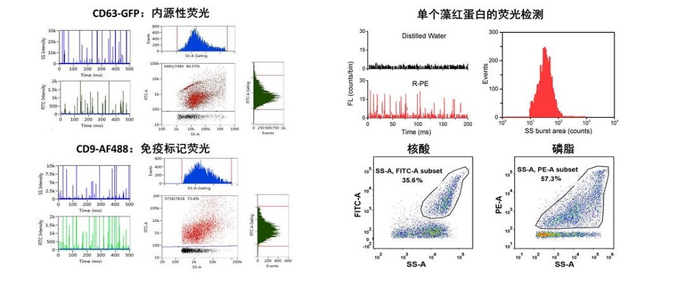 15563366797582.jpg TIM截圖20190427113235.jpg