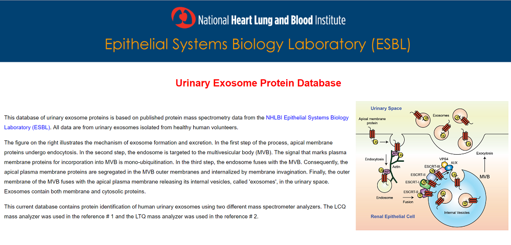 15563762808856.jpg 1.jpg